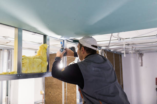 Best Types of Insulation in Pce, LA